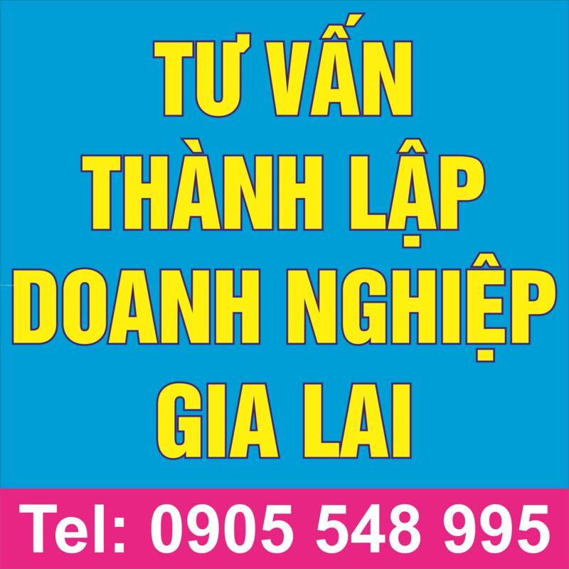 Dịch vụ thành lập công ty tại Pleiku